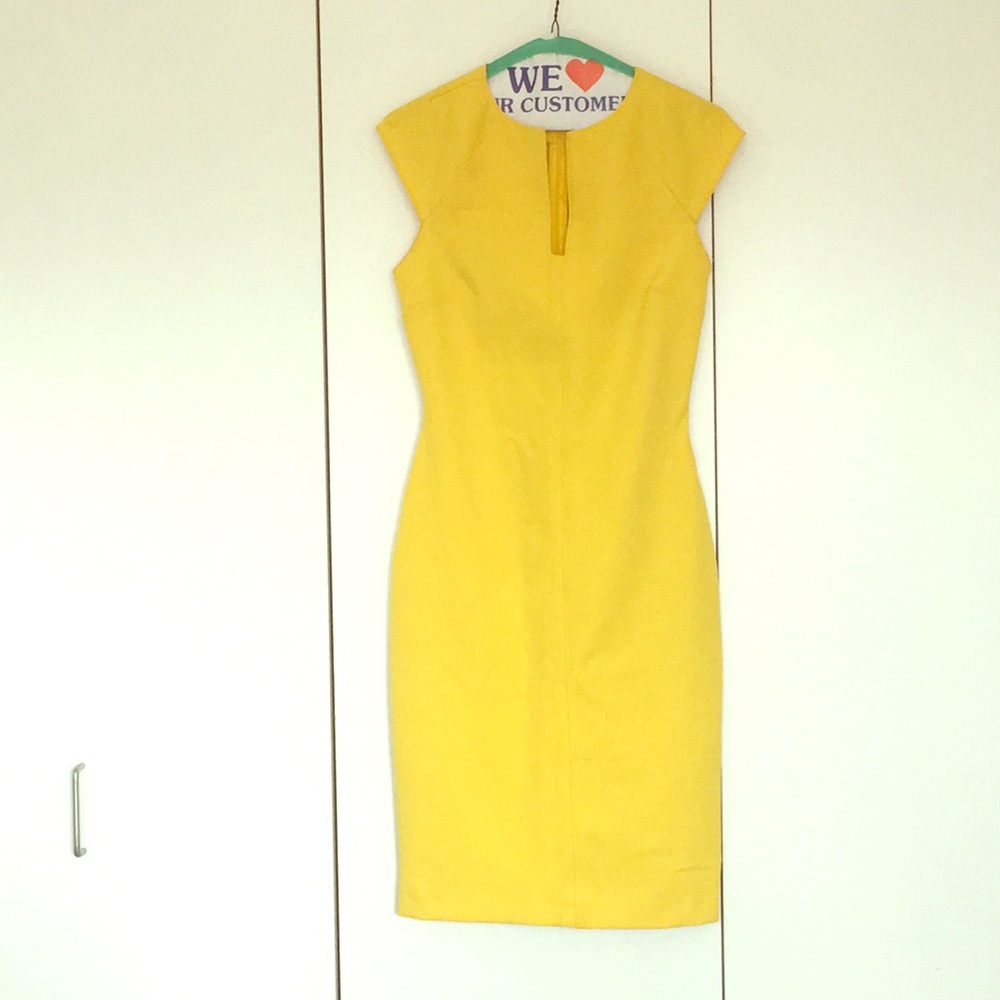 Zara Dress